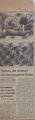 Έκθεση 164 πινάκων του Χατζηκυριάκου-Γκίκα, Βήμα (10-5-1973)